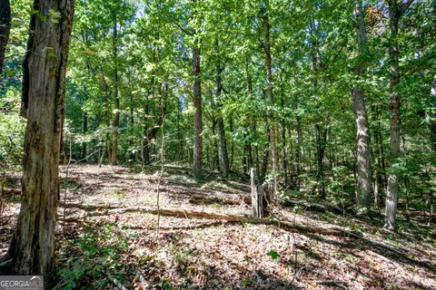 52 Ac Soapstone Rd, Baldwin, GA 30511 photo 50