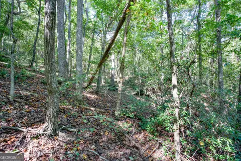 52 Ac Soapstone Rd, Baldwin, GA 30511 photo 59