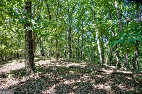52 Ac Soapstone Rd, Baldwin, GA 30511 photo 20