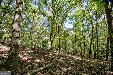 52 Ac Soapstone Rd, Baldwin, GA 30511 photo 48