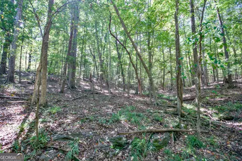 52 Ac Soapstone Rd, Baldwin, GA 30511 photo 30