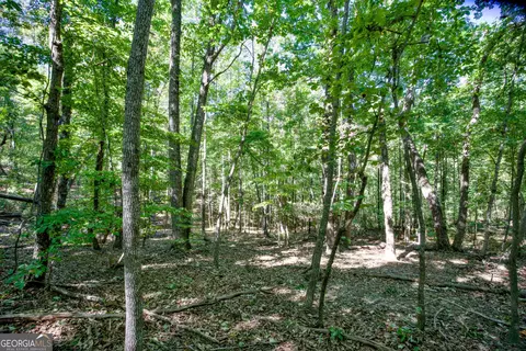 52 Ac Soapstone Rd, Baldwin, GA 30511 photo 18
