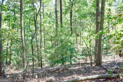 52 Ac Soapstone Rd, Baldwin, GA 30511 photo 55
