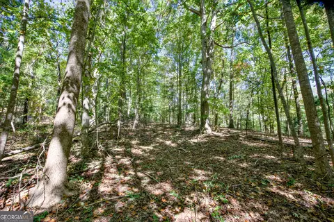 52 Ac Soapstone Rd, Baldwin, GA 30511 photo 15