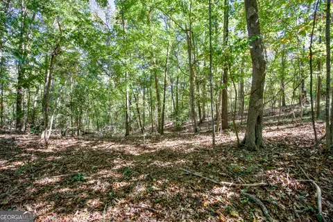 52 Ac Soapstone Rd, Baldwin, GA 30511 photo 34