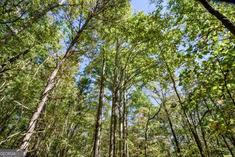 52 Ac Soapstone Rd, Baldwin, GA 30511 photo 63