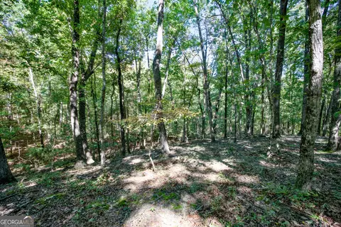 52 Ac Soapstone Rd, Baldwin, GA 30511 photo 51