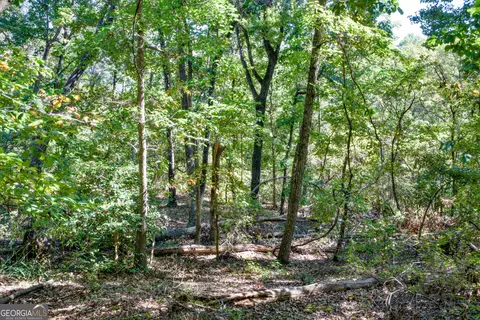 52 Ac Soapstone Rd, Baldwin, GA 30511 photo 37