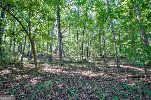 52 Ac Soapstone Rd, Baldwin, GA 30511 photo 44