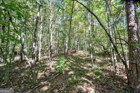 52 Ac Soapstone Rd, Baldwin, GA 30511 photo 46