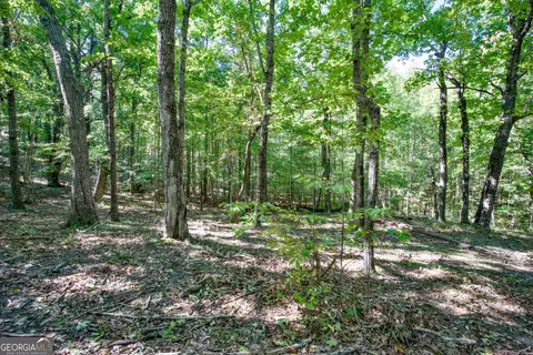 52 Ac Soapstone Rd, Baldwin, GA 30511 photo 39