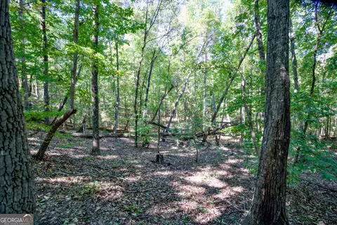 52 Ac Soapstone Rd, Baldwin, GA 30511 photo 52