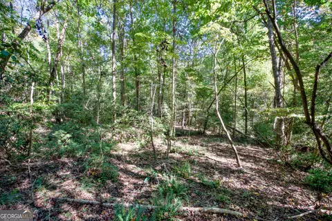 52 Ac Soapstone Rd, Baldwin, GA 30511 photo 36
