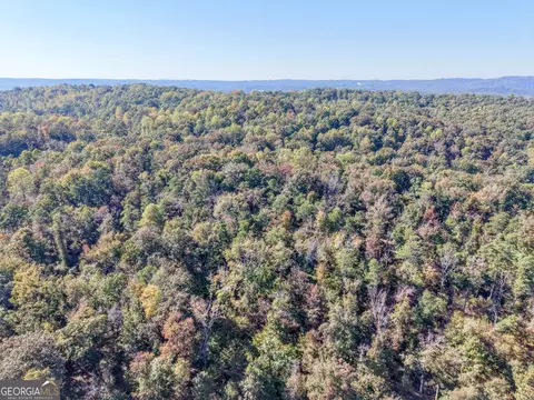 52 Ac Soapstone Rd, Baldwin, GA 30511 photo 4