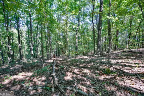 52 Ac Soapstone Rd, Baldwin, GA 30511 photo 40