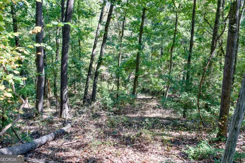 52 Ac Soapstone Rd, Baldwin, GA 30511 photo 58