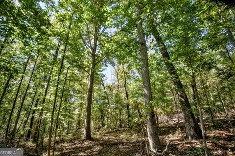 52 Ac Soapstone Rd, Baldwin, GA 30511 photo 60