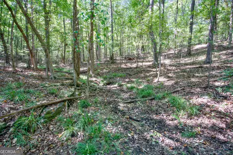 52 Ac Soapstone Rd, Baldwin, GA 30511 photo 29