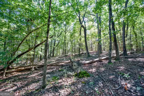 52 Ac Soapstone Rd, Baldwin, GA 30511 photo 43