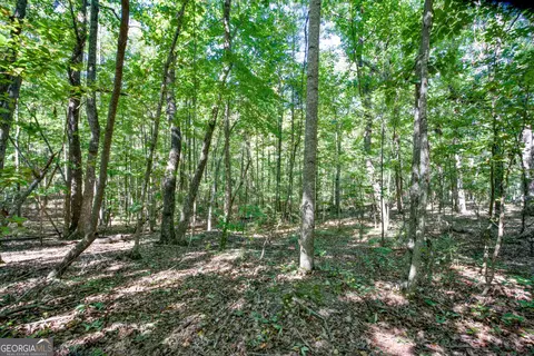 52 Ac Soapstone Rd, Baldwin, GA 30511 photo 19