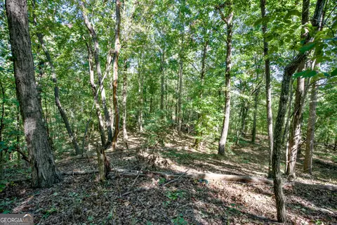 52 Ac Soapstone Rd, Baldwin, GA 30511 photo 53