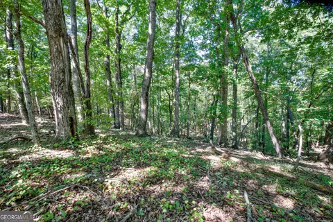 52 Ac Soapstone Rd, Baldwin, GA 30511 photo 16