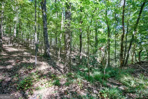 52 Ac Soapstone Rd, Baldwin, GA 30511 photo 54