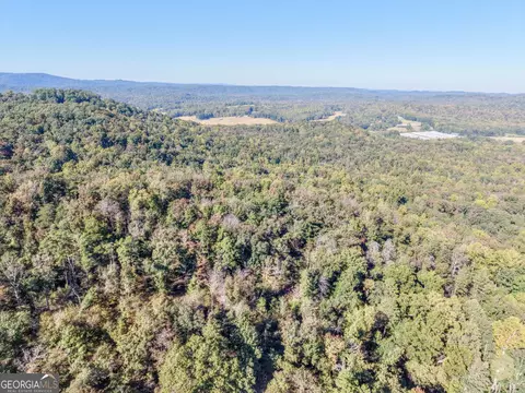 52 Ac Soapstone Rd, Baldwin, GA 30511 photo 3