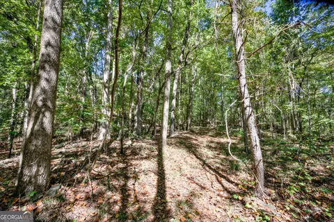 52 Ac Soapstone Rd, Baldwin, GA 30511 photo 45