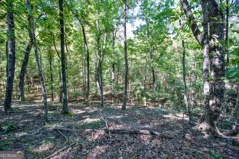 52 Ac Soapstone Rd, Baldwin, GA 30511 photo 42