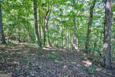 52 Ac Soapstone Rd, Baldwin, GA 30511 photo 24