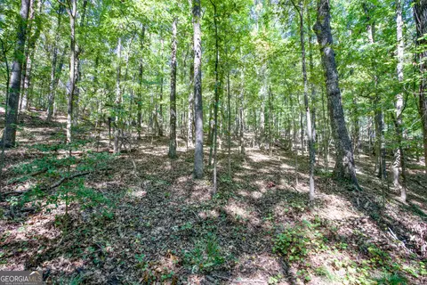 52 Ac Soapstone Rd, Baldwin, GA 30511 photo 32