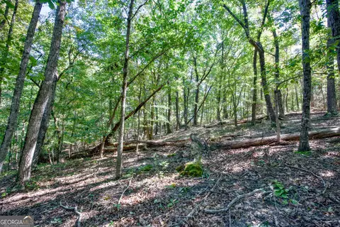 52 Ac Soapstone Rd, Baldwin, GA 30511 photo 41