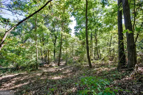 52 Ac Soapstone Rd, Baldwin, GA 30511 photo 38