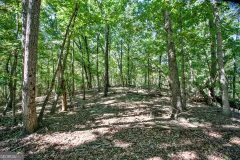52 Ac Soapstone Rd, Baldwin, GA 30511 photo 12