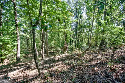 52 Ac Soapstone Rd, Baldwin, GA 30511 photo 23