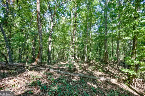52 Ac Soapstone Rd, Baldwin, GA 30511 photo 26