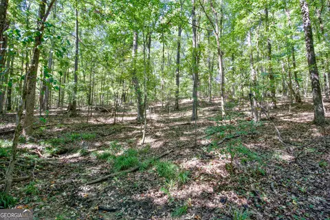 52 Ac Soapstone Rd, Baldwin, GA 30511 photo 31