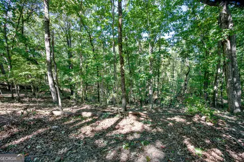 52 Ac Soapstone Rd, Baldwin, GA 30511 photo 49