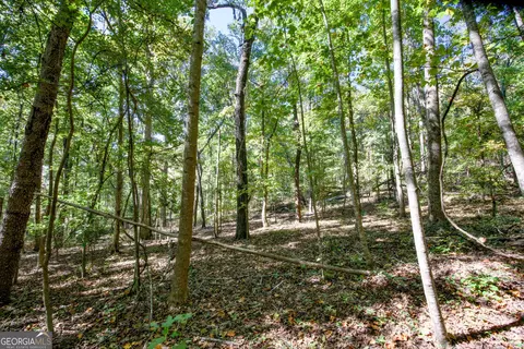 52 Ac Soapstone Rd, Baldwin, GA 30511 photo 47
