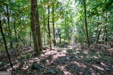 52 Ac Soapstone Rd, Baldwin, GA 30511 photo 57