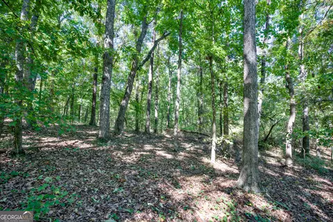 52 Ac Soapstone Rd, Baldwin, GA 30511 photo 27