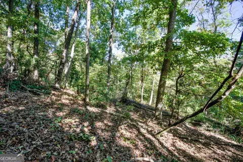 52 Ac Soapstone Rd, Baldwin, GA 30511 photo 62
