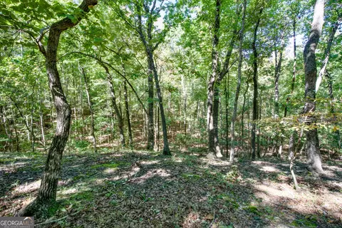 52 Ac Soapstone Rd, Baldwin, GA 30511 photo 21