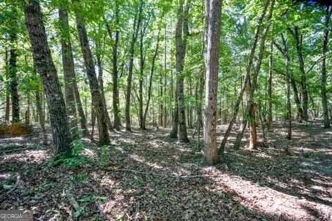 52 Ac Soapstone Rd, Baldwin, GA 30511 photo 17