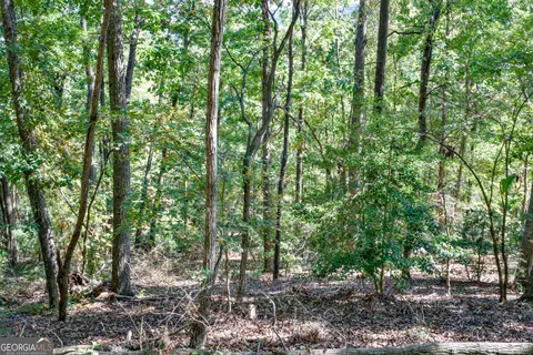 52 Ac Soapstone Rd, Baldwin, GA 30511 photo 56