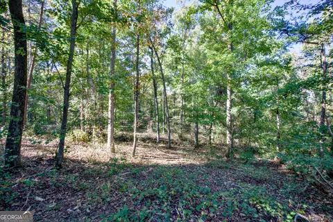 57 Ac Soapstone Rd, Baldwin, GA 30511 photo 10