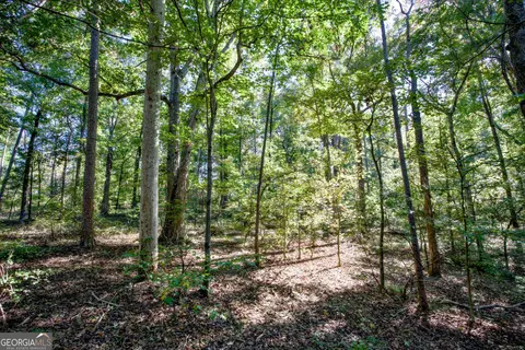 57 Ac Soapstone Rd, Baldwin, GA 30511 photo 27