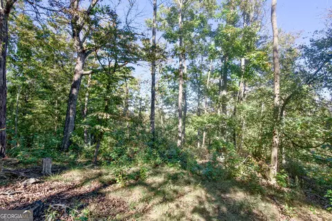 57 Ac Soapstone Rd, Baldwin, GA 30511 photo 13