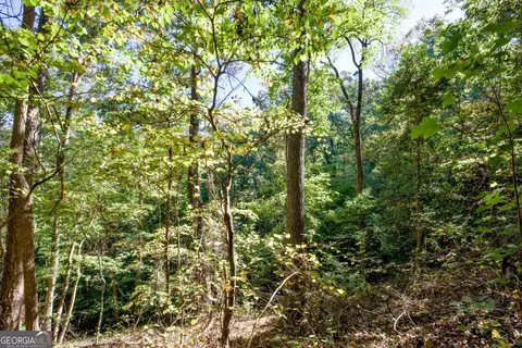 57 Ac Soapstone Rd, Baldwin, GA 30511 photo 36